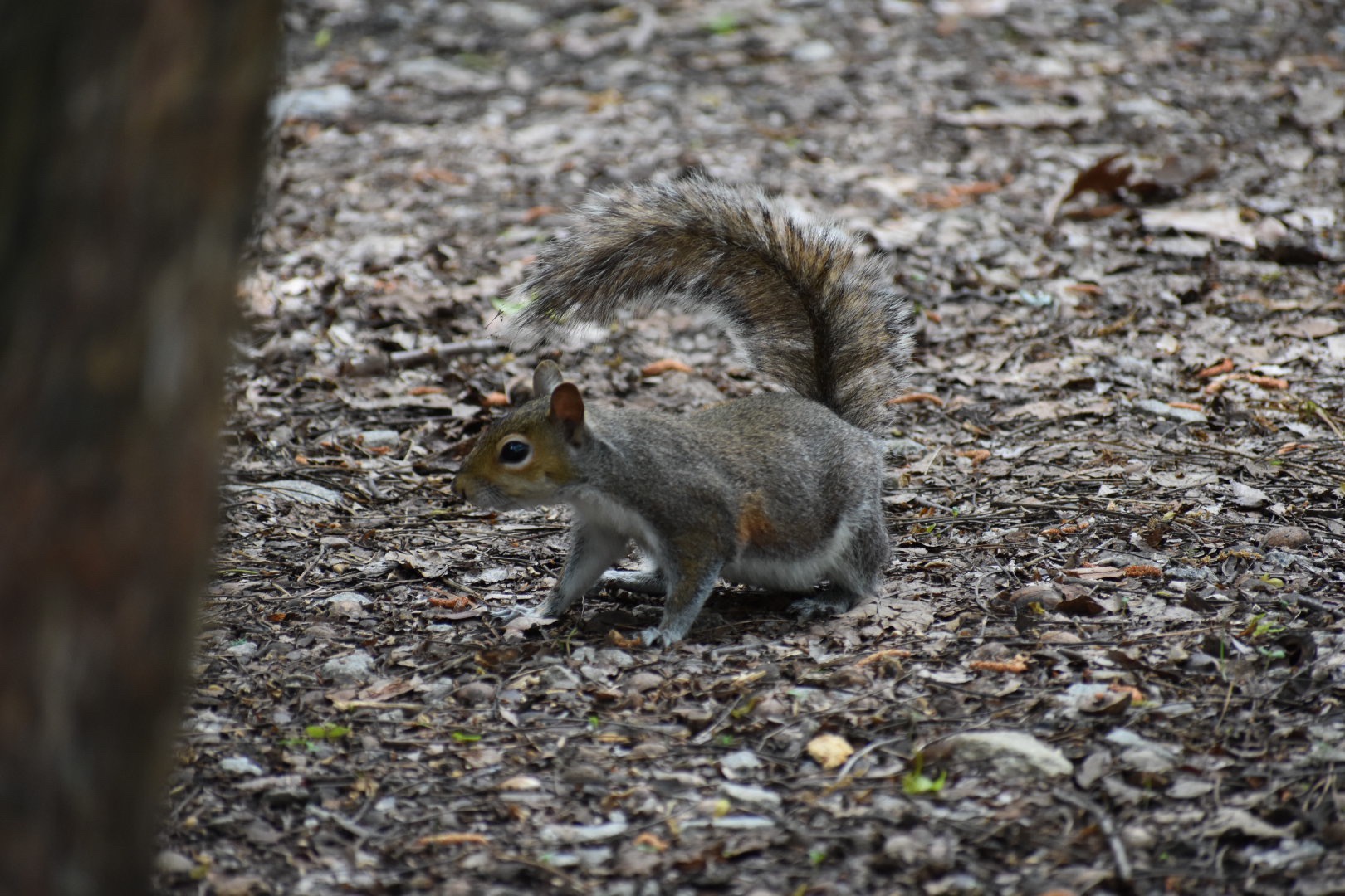 This image has an empty alt attribute; its file name is img_0128.jpg